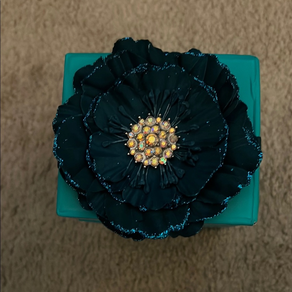 Tieks by Gavrieli Teal Box
